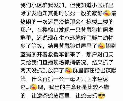 娱乐吃瓜酱名言大全集下载,笑料百出，智慧闪耀