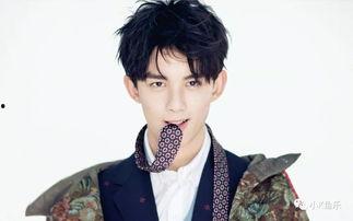 娱乐圈吃瓜吴磊是谁呀,揭秘吴磊的星光之路