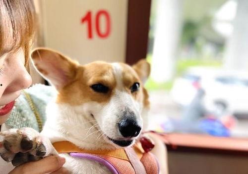 最新娱乐718吃瓜爆料,明星幕后故事大揭秘！