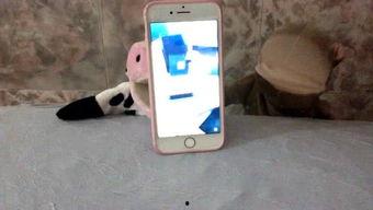 娱乐吃瓜酱手机