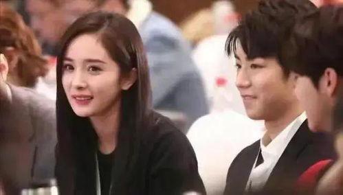 娱乐圈就有瓜吃,揭秘明星背后的“瓜田”