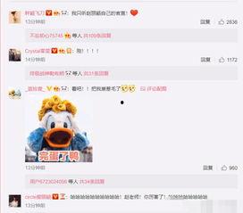 娱乐吃瓜赵小瞒百度云,百度云独家揭秘娱乐圈幕后故事