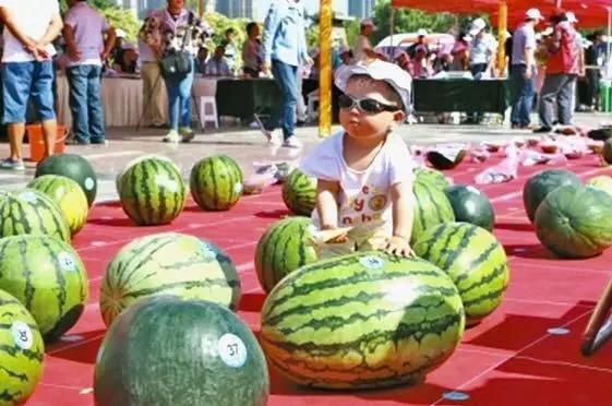 娱乐吃瓜君河南,吃瓜君带你揭秘本土明星幕后故事